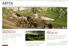 Website design for Artta